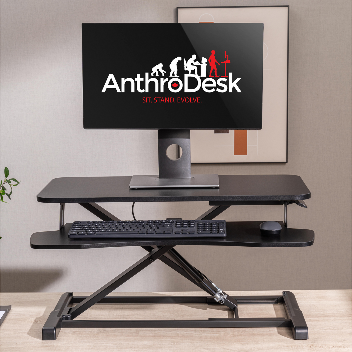 ErgoSpring Standing Desk Converter - Standard – AnthroDesk US