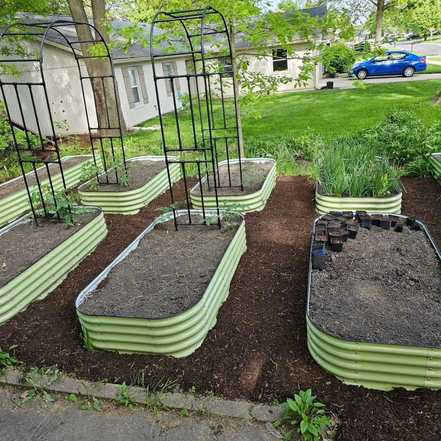 Ollegardens Review 2026: Are These Metal Raised Garden Beds Worth It?