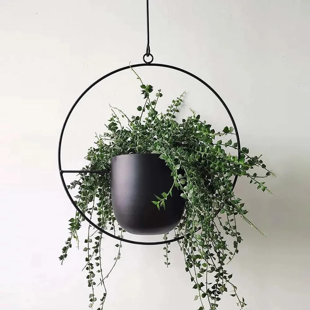 Lily & Eden Review: Sculptural Planters and Plant Decor, Explained