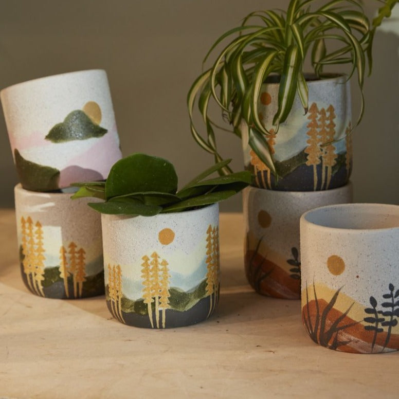 PLANTERS - Mojave Pot