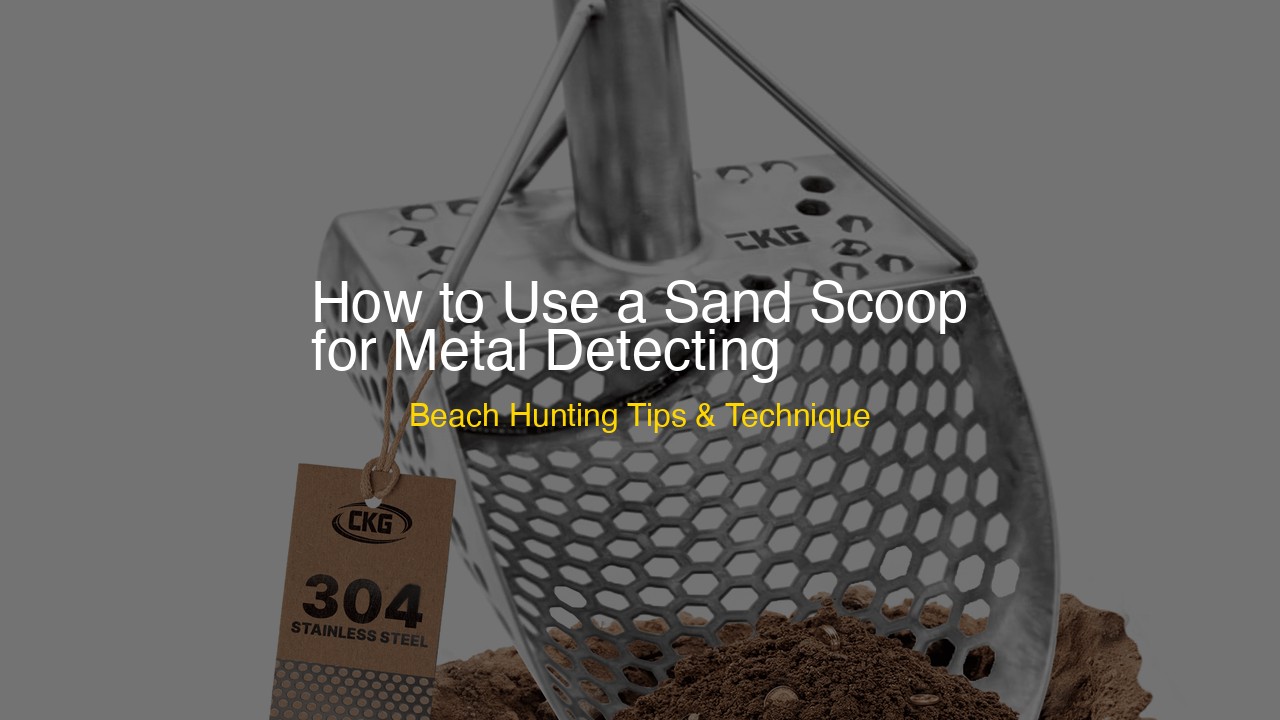 How to Use a Sand Scoop for Metal Detecting: Beach Tips (2026)