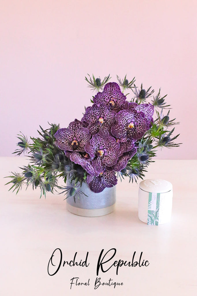 Orchid Republic Starry Night Orchids - specialty limited-edition arrangement
