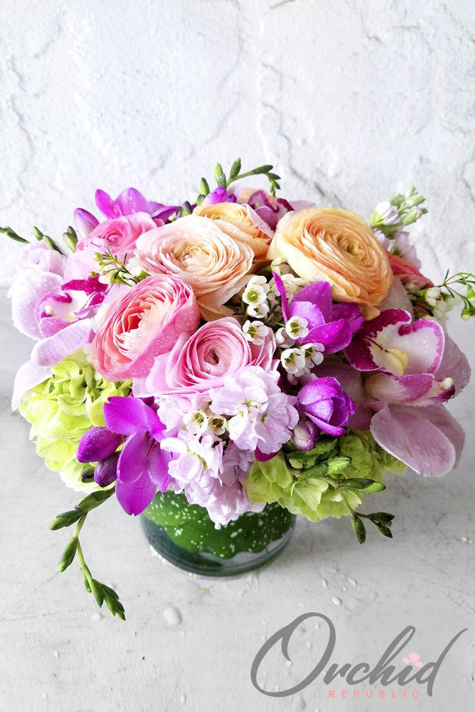 The Bardot by Orchid Republic - signature luxury orchid arrangement from $195